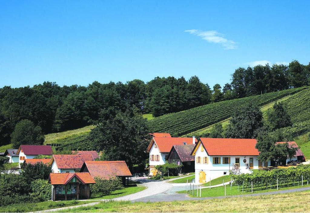 Vila Ferienhaus Kranz Gerersdorf bei Güssing Exteriér fotografie